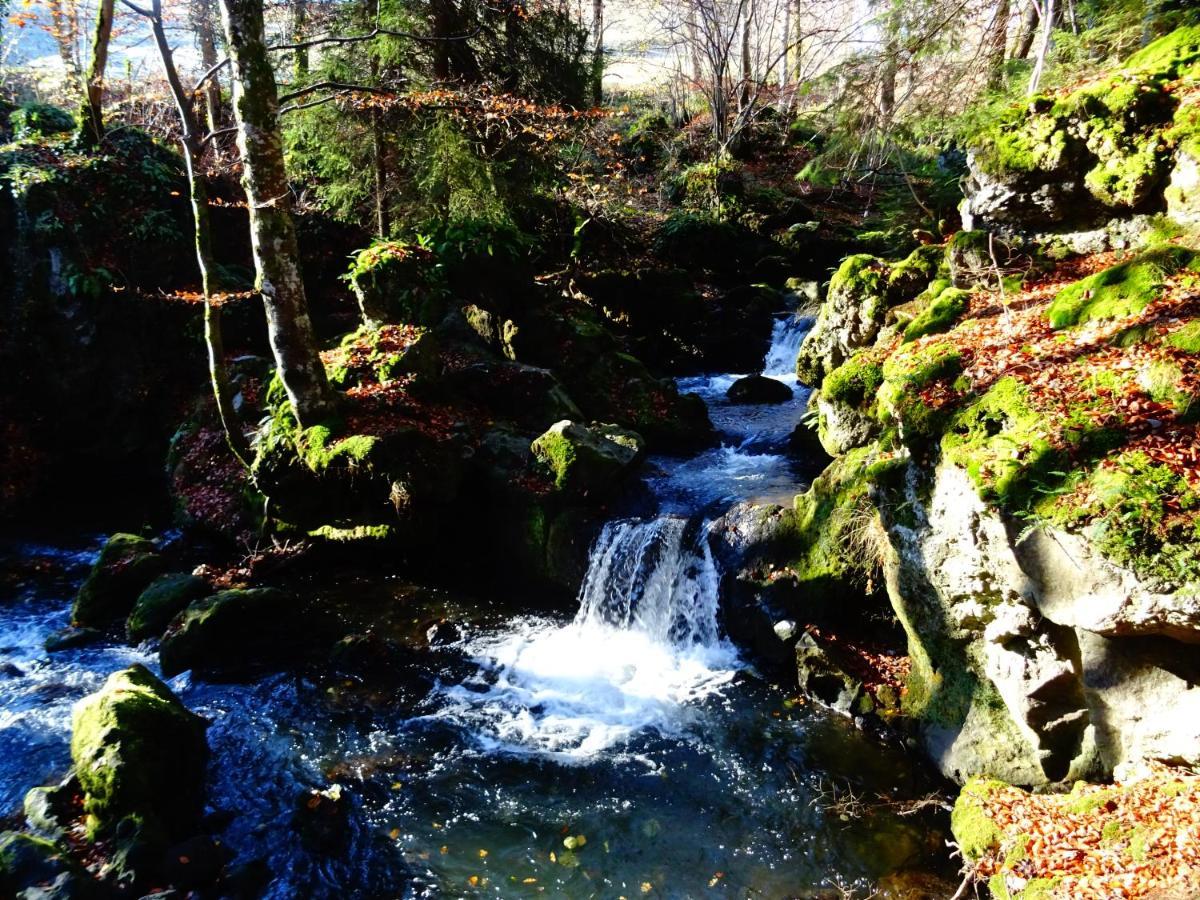 Le Pont Du Roy Bed & Breakfast Besse-et-Saint-Anastaise Exterior foto